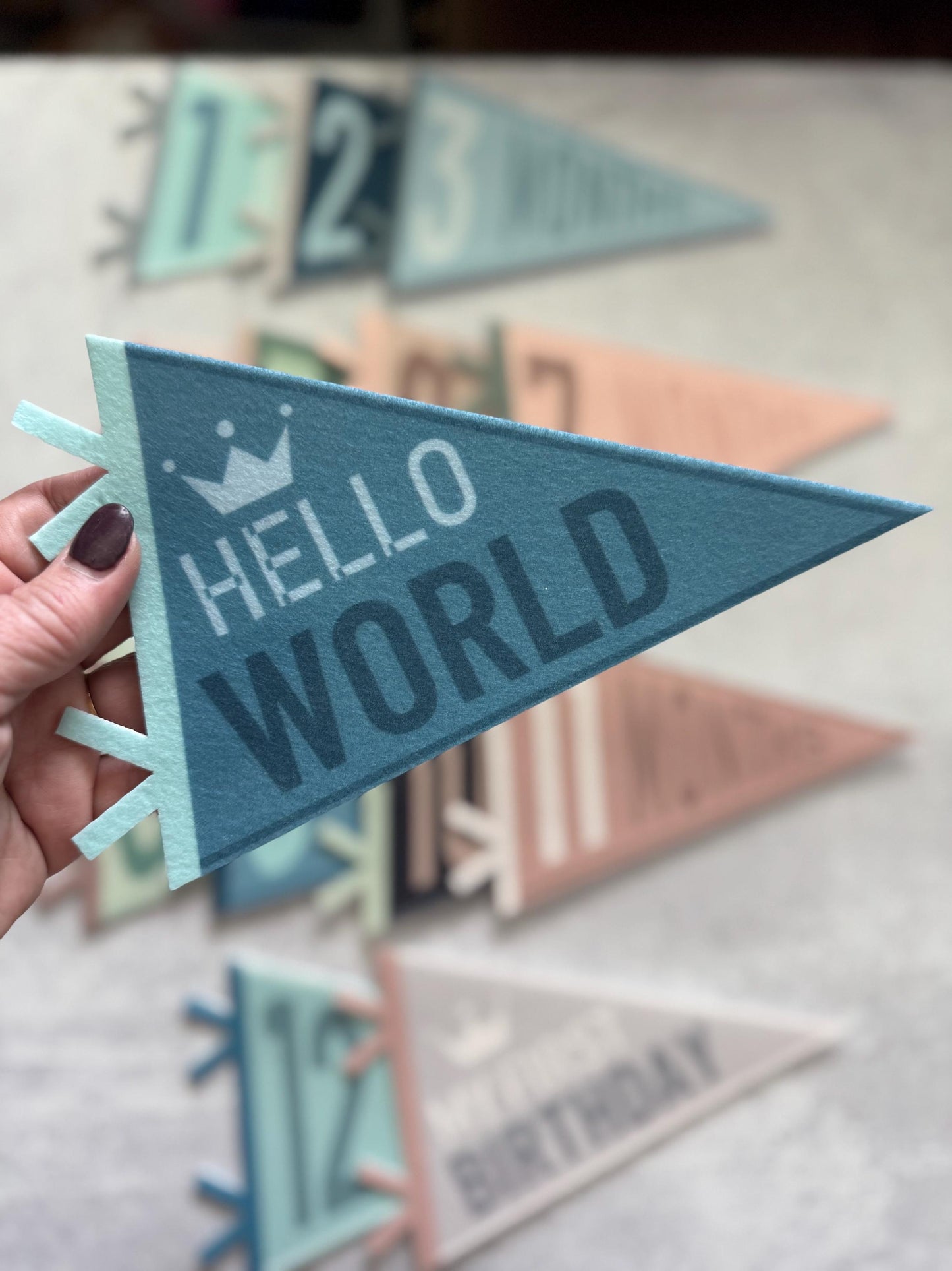 Pennant Flag Milestone Set Photo Prop