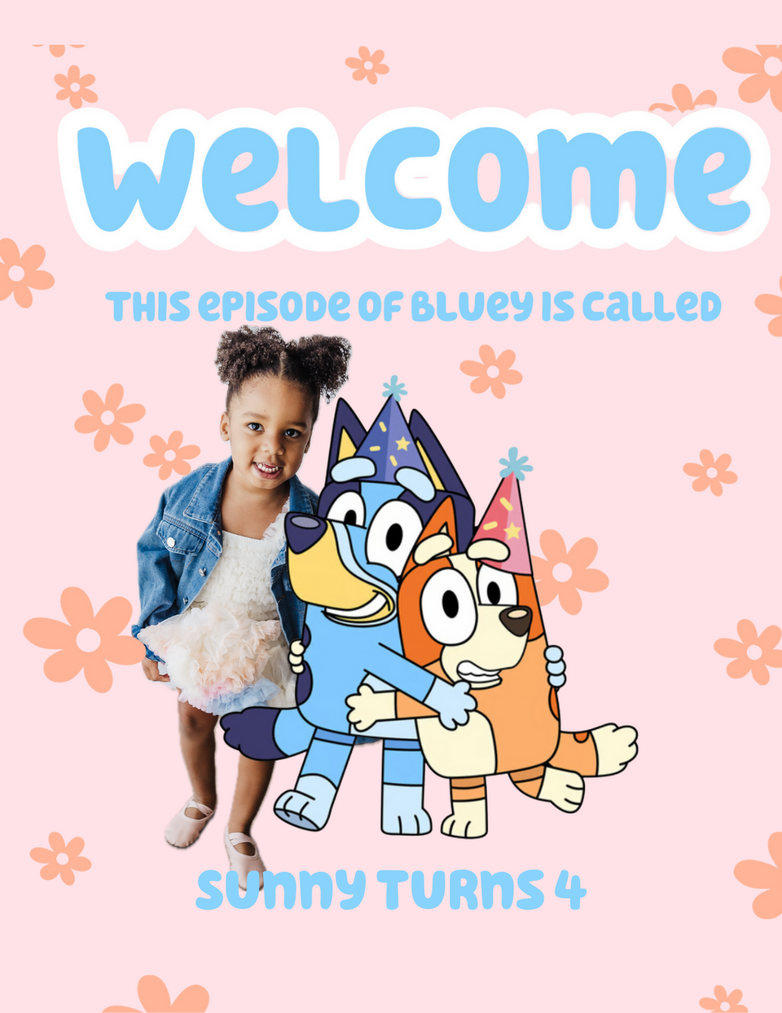 Bluey Birthday Party