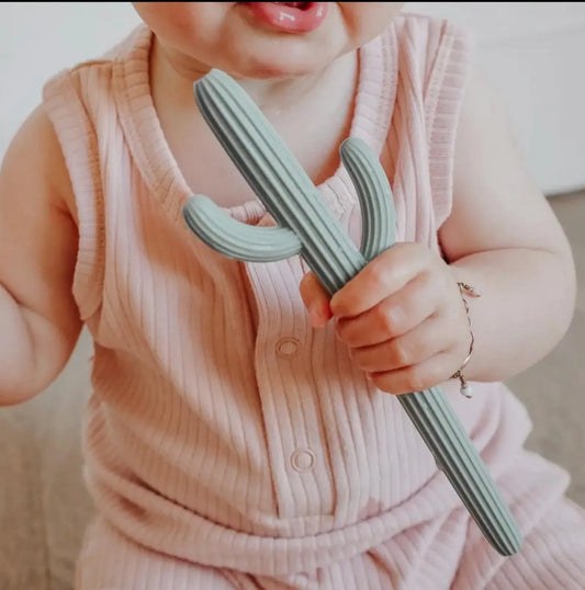 Cactus Teether & Straw